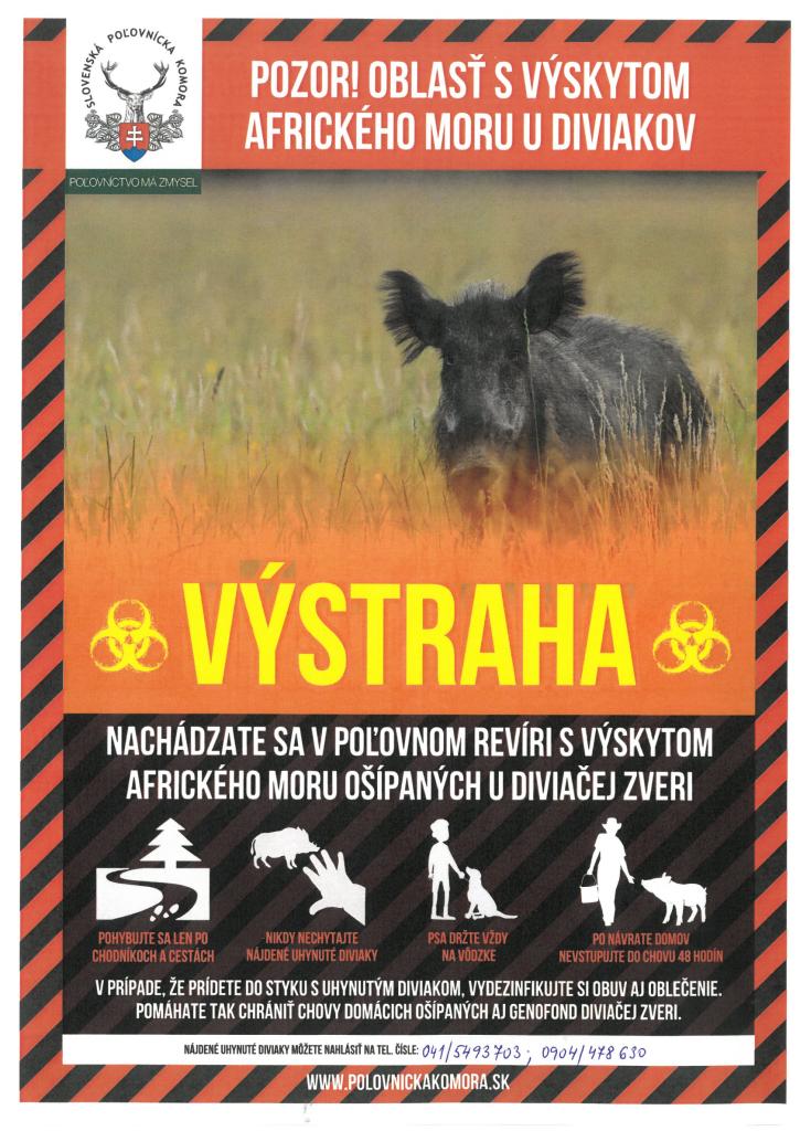 Africký mor u diviakov