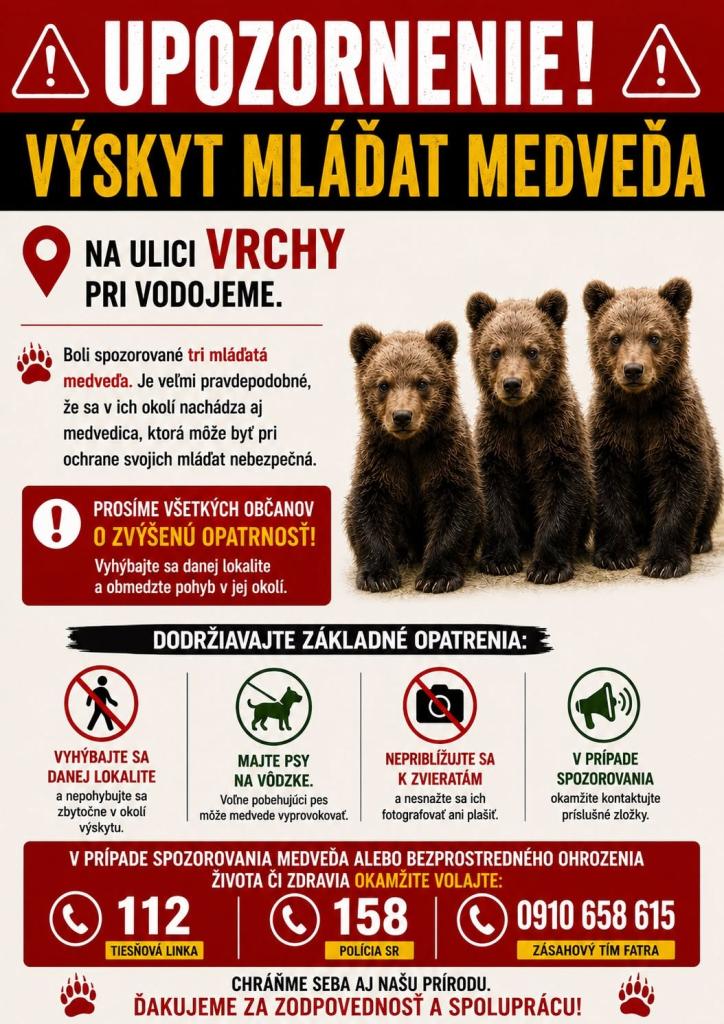 Výskyt mláďat medveďa