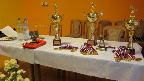 Stolnotenisový turnaj 2012