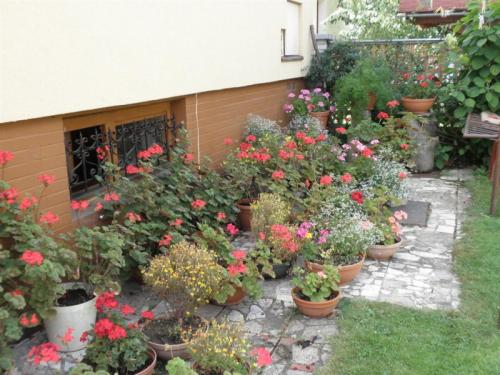 Súťažné záhradky a balkóny 2011