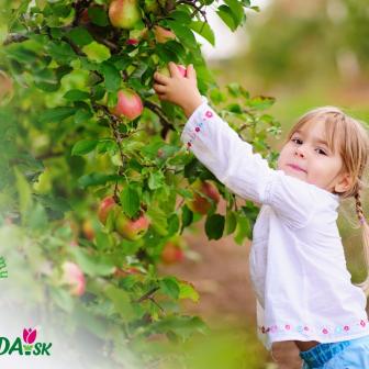Súťaž Ovocná záhradka pre deti