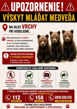 Výskyt mláďat medveďa